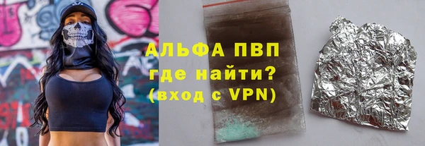 индика Баксан
