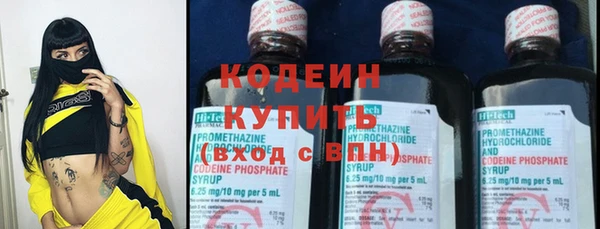 индика Баксан