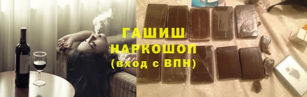 индика Баксан