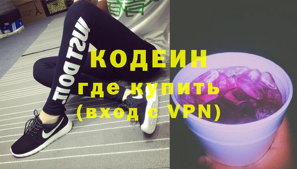 индика Баксан