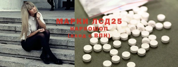 ГАЛЛЮЦИНОГЕННЫЕ ГРИБЫ Балахна